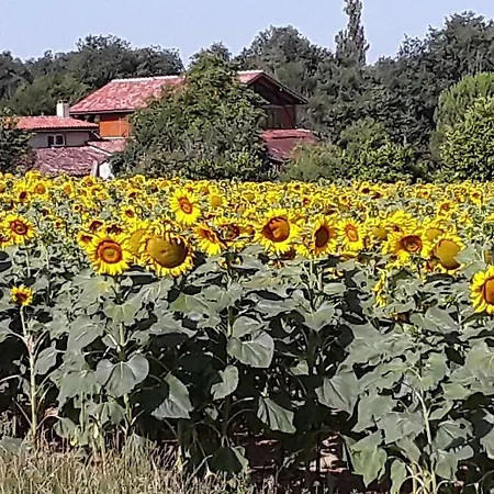 Oda ve Kahvaltı Berdale Lagraulet-du-Gers