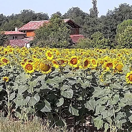 Отель типа 